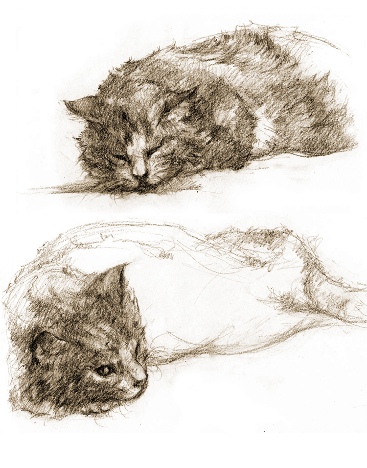 source (207)_sketch