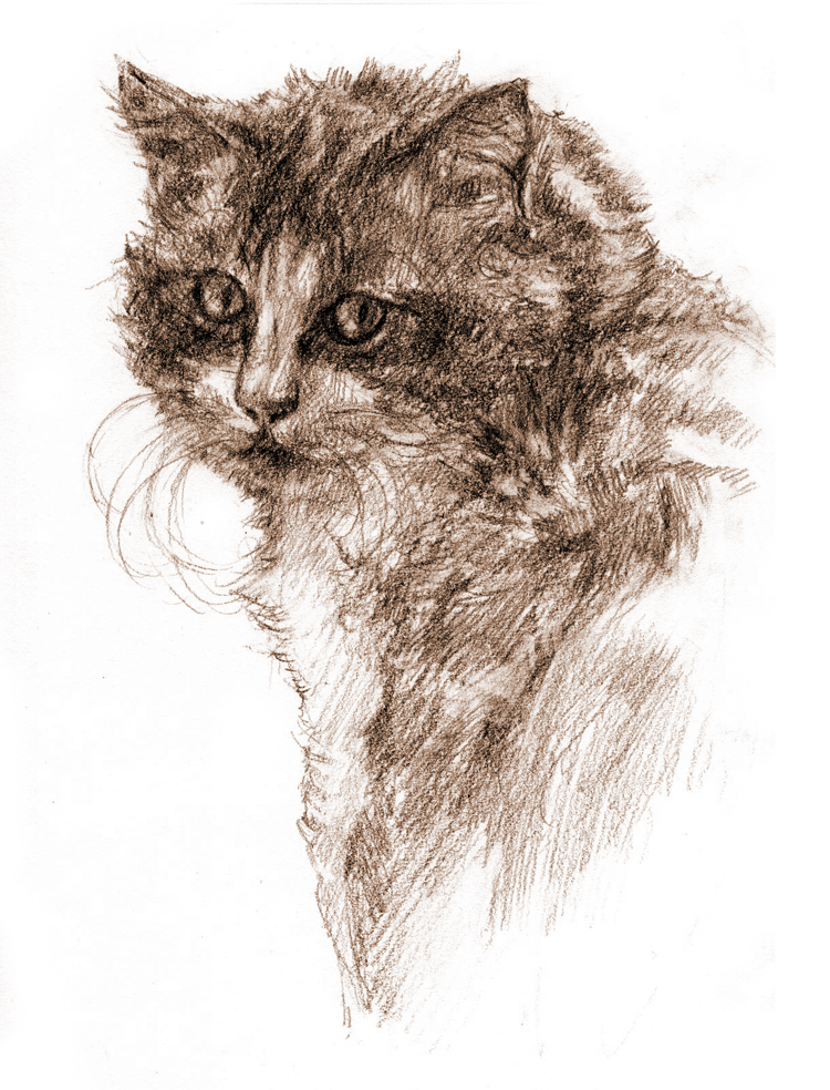 source (208)_sketch