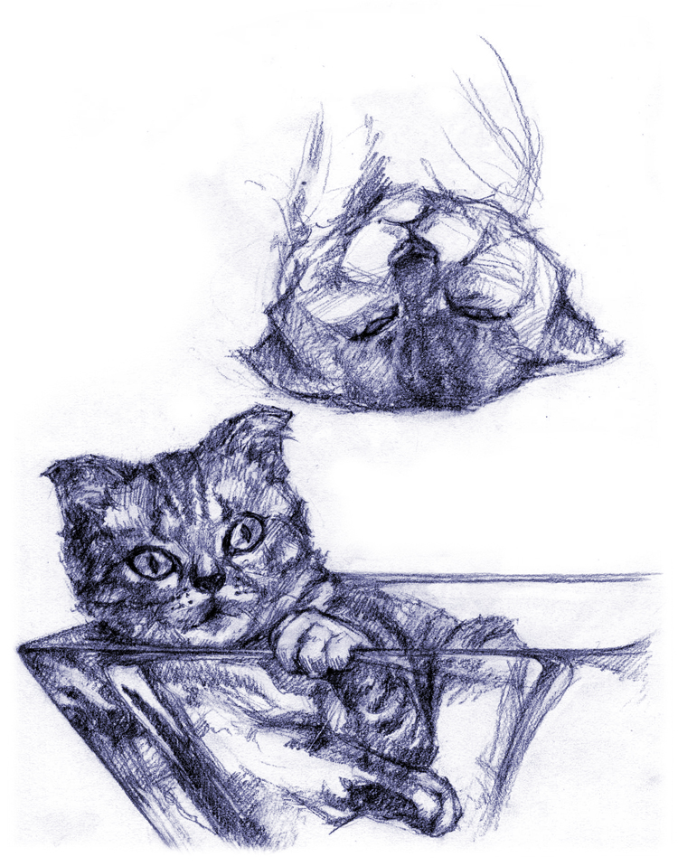 source (213)_sketch