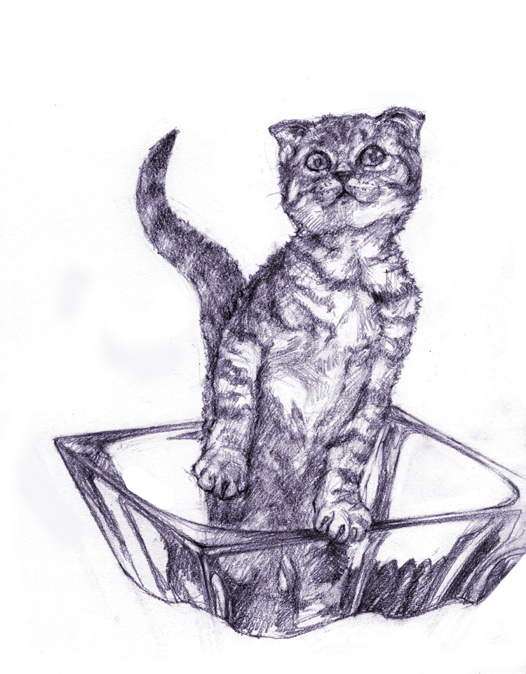source (214)_sketch