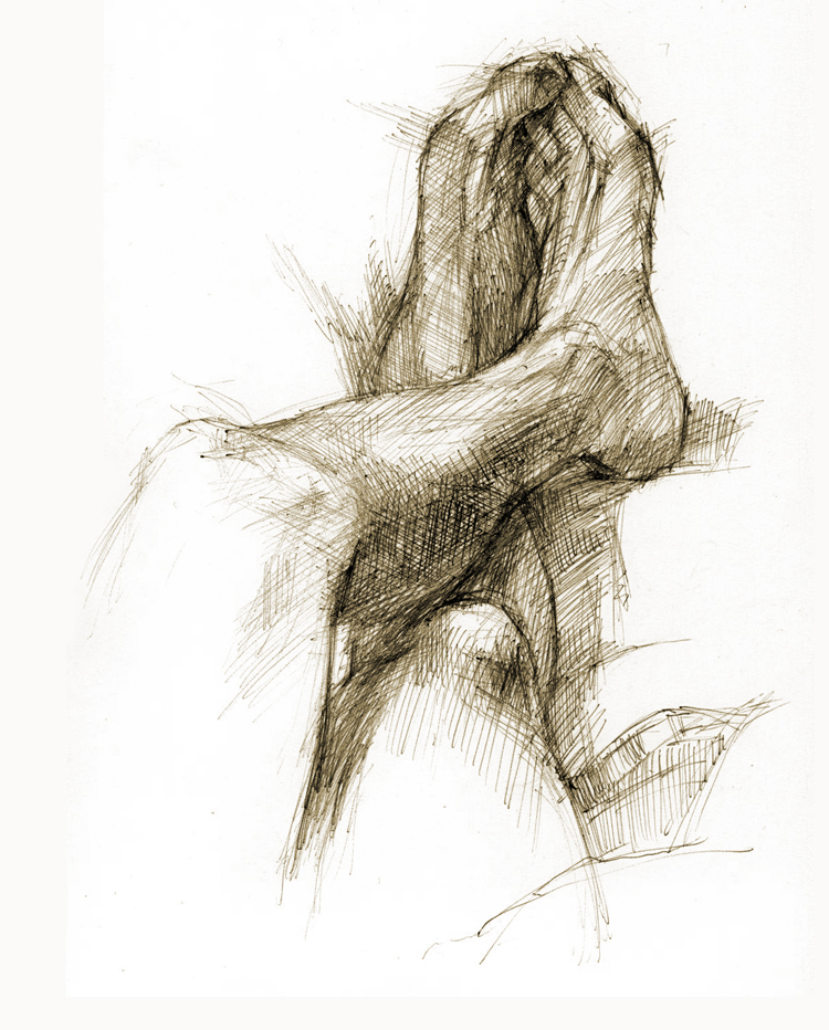 source (249)_sketch