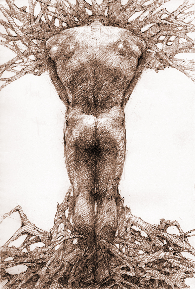 source (278)_sketch